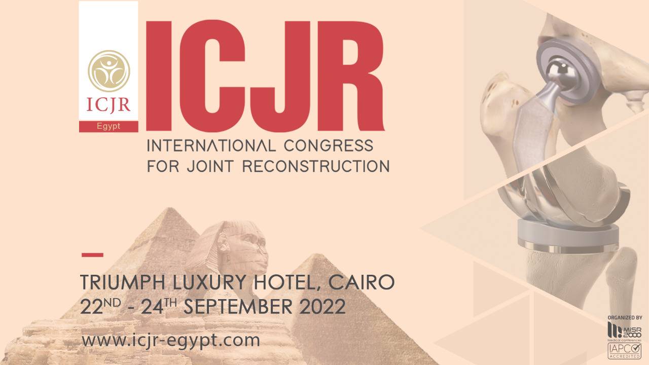 ICJR Conference
